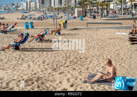 Benidorm, Costa Blanca, Spanien, 24. Dezember 2018. Britische Urlauber die Flucht aus der Kälte nach Hause Flut das beliebte Resort während der Weihnachtsferien. Sonnenanbeter und Schwimmer genießen Sie die heißen temps und ruhigem Wetter am Strand Levante heute in Benidorm an der Costa Blanca Küste. Die Temperaturen waren in den mittleren bis hohen 20 Celsius heute in diesem mediterranen Hotspot. Credit: Mick Flynn/Alamy leben Nachrichten Stockfoto