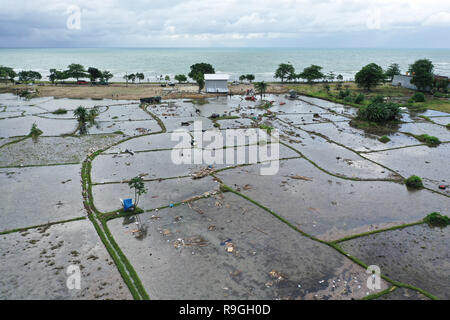 Banten, Indonesien. 24 Dez, 2018. Ein Ackerland ist durch Tsunami in der Provinz Banten, in Indonesien, Dez. 24, 2018 beschädigt. Die Indonesische Katastrophe Agentur am Montag legte die Zahl der Todesopfer der Flutkatastrophe durch einen Vulkanausbruch auf 373 mit 1.459 anderen Verletzten ausgelöst, ein Sprecher der Agentur Xinhua erklärt am Montag. Credit: Du Yu/Xinhua/Alamy leben Nachrichten Stockfoto