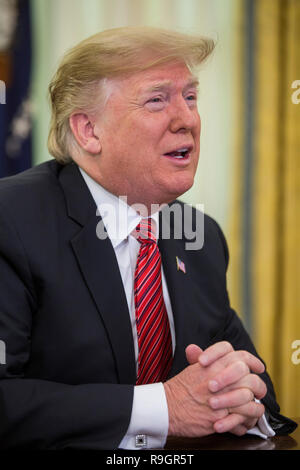 Washington, DC, USA. 25 Dez, 2018. Präsidenten der Vereinigten Staaten Donald J. Trumpf macht einen Videoanruf zu Mitgliedern aus der Armee, Marine Corps, Navy, Air Force, und Küstenwache stationiert weltweit in das Oval Office im Weißen Haus in Washington, DC, USA, am 25. Dezember 2018. Credit: Zach Gibson/Pool über CNP | Verwendung der weltweiten Kredit: dpa/Alamy leben Nachrichten Stockfoto