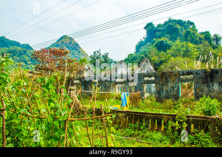 Einem alten verfallenen Bauernhof im Dschungel der Cat Ba Nationalpark in Vietnam. Stockfoto