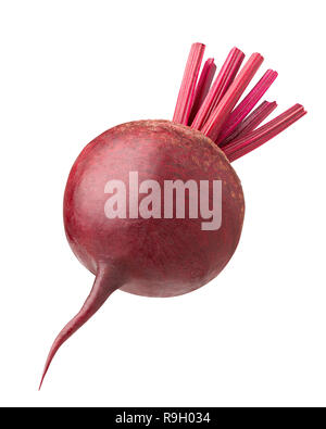 Rote Bete auf weißem Hintergrund, Beschneidungspfade, volle Tiefenschärfe Stockfoto