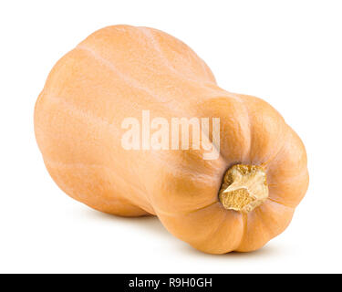 Kürbis Butternut Squash auf weißem Hintergrund, Beschneidungspfade, volle Tiefenschärfe Stockfoto