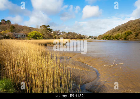 Tresillian Fluss, Cornwall, UK Stockfoto