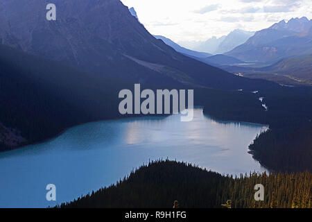 Peyto Lake ist ein Gletscher-fed Lake im Banff Nationalpark in den Kanadischen Rocky Mountains entlang des Icefields Parkway, Alberta Highway #93. Stockfoto