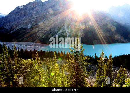 Peyto Lake ist ein Gletscher-fed Lake im Banff Nationalpark in den Kanadischen Rocky Mountains entlang des Icefields Parkway, Alberta Highway #93. Stockfoto