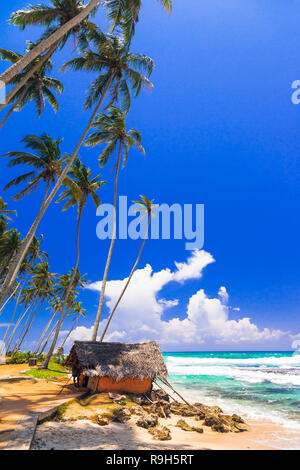 Tropisches Paradies in Sri Lanka, mit Blick auf Meer und Palmen. Stockfoto