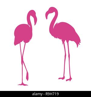 Flamingo. Exotische Vögel. Zwei rosa Flamingo, dekorative Design Element Stock Vektor