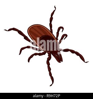 Tick isoliert auf weißem Hintergrund. Zecke Parasiten. Skizze der Zecke. Vector Illustration Stock Vektor