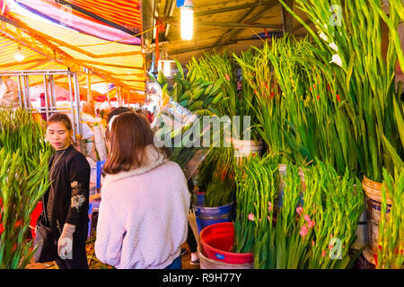 HANOI, VIETNAM - 14. Februar: Unbekannte Blume Hersteller am Quang Ba Blumenmarkt am 14. Februar 2018 in Hanoi, Vietnam in Asien Stockfoto