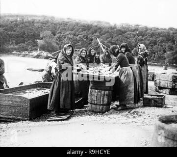 Vintage schwarz-weiß Foto 1893 zeigt eine Gruppe von fishwives; Frauen, die Vorbereitung und den Fisch Filet von der lokalen Fischer gefangen. Foto in England gebracht. Stockfoto