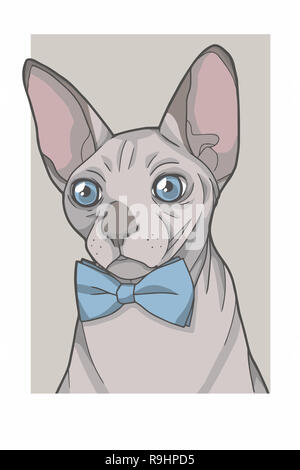 Unbehaarte Sphynx Katze mit blauen bowtie Portrait grafische Darstellung Stockfoto