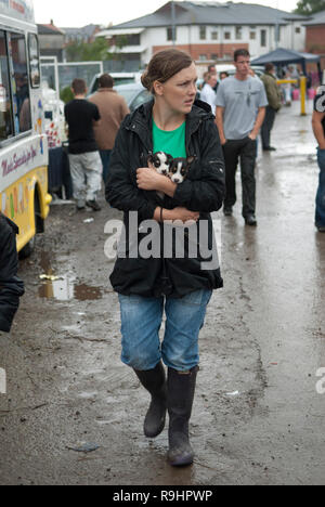 Jack Russell Welpen zum Verkauf auf der Brigg Gypsy Horse Fair Lincolnshire UK 2009 2000s HOMER SYKES Stockfoto