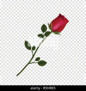 Vector Illustration von photo-realistisch, sehr detaillierte Blume der roten Rose auf transparentem Hintergrund isoliert. Schöne bud Der rote Rose auf langem Stiel. Stock Vektor