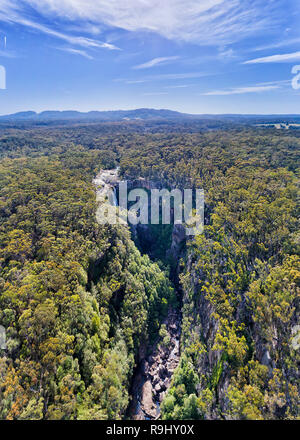 Deep Creek von Kangaroo Fluss fallen von flachen Plateau als Carrington Fallen zu Quelle von Kangaroo Valley in der Mitte von Gum erodiert - tree forest in Stockfoto