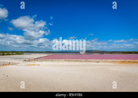 Rote Salz Produktion in Puerto Rico See pool Stockfoto