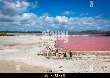 Rote Salz Produktion in Puerto Rico See pool Stockfoto