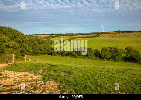 Woodland Valley Farm; Cornwall, UK Stockfoto