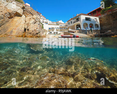 Spanien Costa Brava kleine Bucht mit Häusern und Fisch Unterwasser, Fornells de Mar Dorf, geteilte Ansicht oberhalb und unterhalb der Oberfläche, Katalonien, Mittelmeer Stockfoto