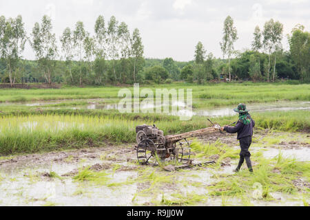 Pflüge Maschinen-bauer mit Wandern Traktor Pflügen im Reisfeld der Bereich vorzubereiten Reis zu wachsen. Stockfoto