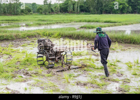 Pflüge Maschinen-bauer mit Wandern Traktor Pflügen im Reisfeld der Bereich vorzubereiten Reis zu wachsen. Stockfoto