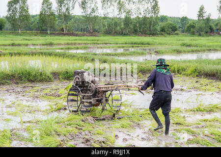 Pflüge Maschinen-bauer mit Wandern Traktor Pflügen im Reisfeld der Bereich vorzubereiten Reis zu wachsen. Stockfoto