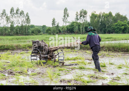 Pflüge Maschinen-bauer mit Wandern Traktor Pflügen im Reisfeld der Bereich vorzubereiten Reis zu wachsen. Stockfoto