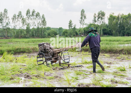 Pflüge Maschinen-bauer mit Wandern Traktor Pflügen im Reisfeld der Bereich vorzubereiten Reis zu wachsen. Stockfoto