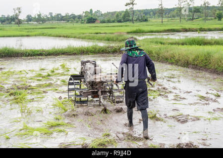 Pflüge Maschinen-bauer mit Wandern Traktor Pflügen im Reisfeld der Bereich vorzubereiten Reis zu wachsen. Stockfoto