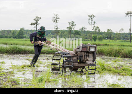 Pflüge Maschinen-bauer mit Wandern Traktor Pflügen im Reisfeld der Bereich vorzubereiten Reis zu wachsen. Stockfoto