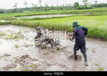 Pflüge Maschinen-bauer mit Wandern Traktor Pflügen im Reisfeld der Bereich vorzubereiten Reis zu wachsen. Stockfoto