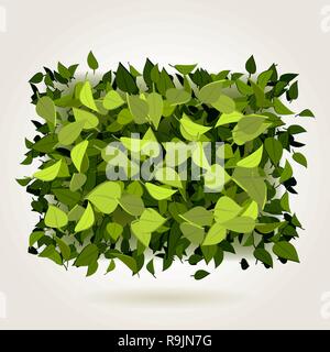 Abstrakte helle grüne Blätter Hintergrund in rechteckiger Form, Vector Illustration Stock Vektor