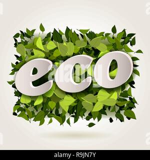 Abstrakte helle grüne Blätter Hintergrund mit eco Buchstaben, Vektor, Abbildung Stock Vektor