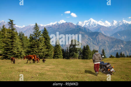 Touristische biker genießen Sie Blick auf den Panchchuli Himalayan Range als wilde Pferde grasen im Himalaya wiesen am Munsiyari Uttarakhand Indien. Stockfoto