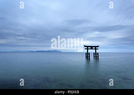 Shirahige Jinja Torii auf Wasser, Biwa See in der Nähe von Kyoto, Japan Stockfoto