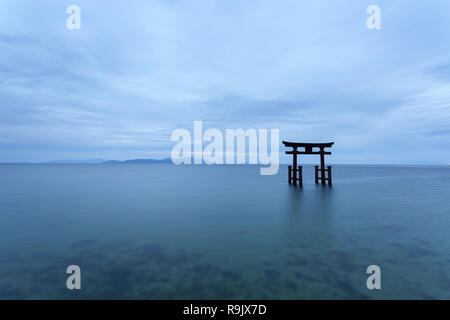 Shirahige Jinja Torii auf Wasser, Biwa See in der Nähe von Kyoto, Japan Stockfoto