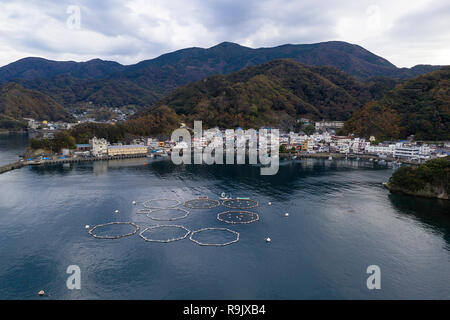 Luftaufnahme von Fisch Anbau Farm, Izu, Japan Stockfoto