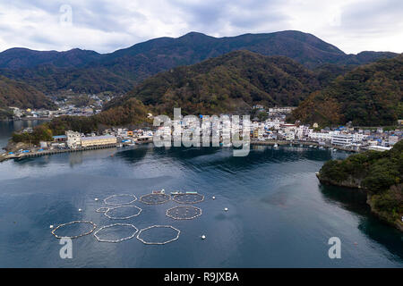 Luftaufnahme von Fisch Anbau Farm, Izu, Japan Stockfoto