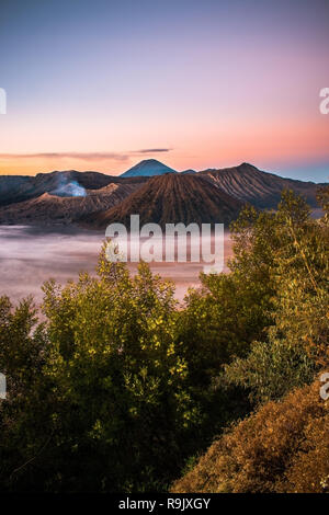Schönen sonnenaufgang Mount Bromo, Ost Java, Indonesien Stockfoto