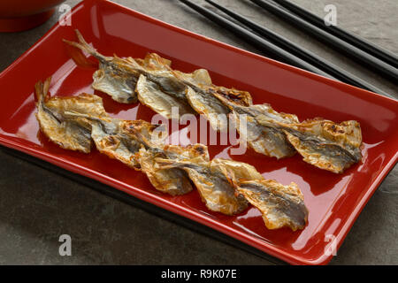 Japanische gegrillte Makrelen Snack auf einem roten Schild Stockfoto