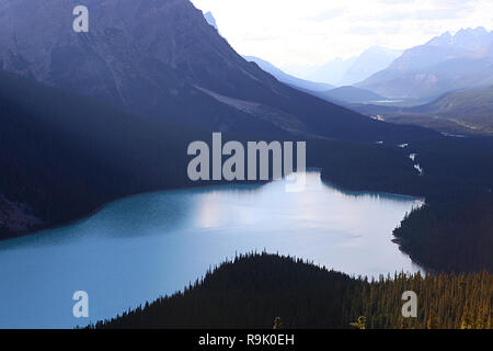 Peyto Lake ist ein Gletscher-fed Lake im Banff Nationalpark in den Kanadischen Rocky Mountains entlang des Icefields Parkway, Alberta Highway #93. Stockfoto