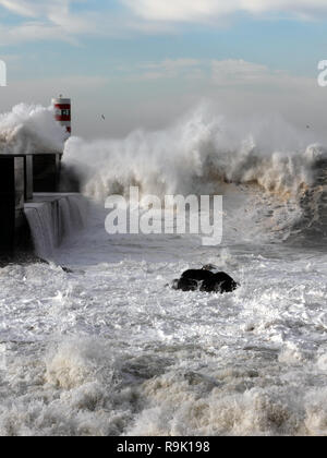 Meer Sturm mit Wellen gegen die Pier an der Mündung des Flusses Douro an einem sonnigen Tag; Schwerpunkt auf der 1. Ebene/Vordergrund Stockfoto