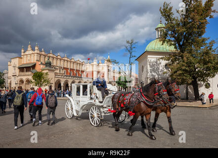 Polen, Krakau, Kutschfahrt, Sightseeing Tour durch die Altstadt Marktplatz, Tuchhalle und der hl. Adalbert Kirche in der backgro Stockfoto