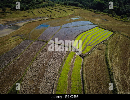 KYAING TONG, MYANMAR - ca. Dezember 2017: Reisfelder rund um die Stadt Kyaing Tong in Myanmar Stockfoto