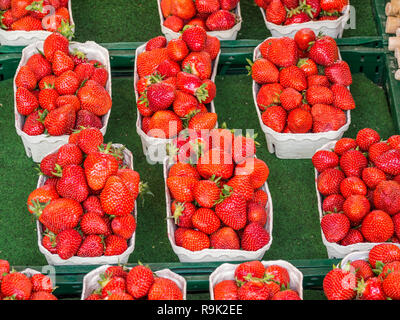 Bio Erdbeeren Shop Stockfoto