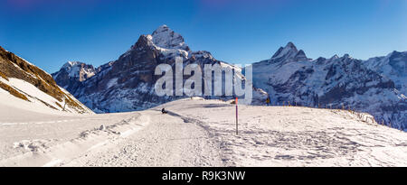 Wetterhorn 3692 m Berg, vom Pfad zwischen dem Ersten und Faulhorn, Grindelwald, Schweiz gesehen. Stockfoto