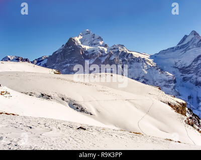 Wetterhorn 3692 m Berg, vom Pfad zwischen dem Ersten und Faulhorn, Grindelwald, Schweiz gesehen. Stockfoto