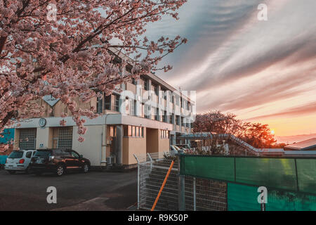 Nagaisaki Junior High School bei Sonnenuntergang im Frühjahr mit Kirschblüte Baum blüht. Diese Schule ist für den Satz der Anime Liebe Leben bekannt! Sonnenschein Stockfoto
