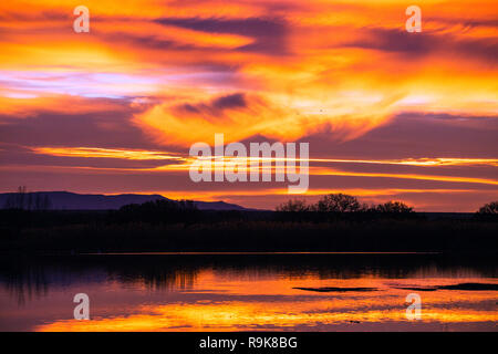 Sonnenaufgang am Bosque Del Apache, San Antonio, New Mexico Stockfoto