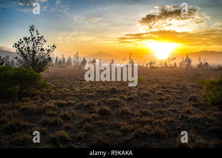 Sonnenaufgang in den Anden Dorf Machinguì, mit Vulkane Cotopaxi, Cayambe, Ecuador Stockfoto