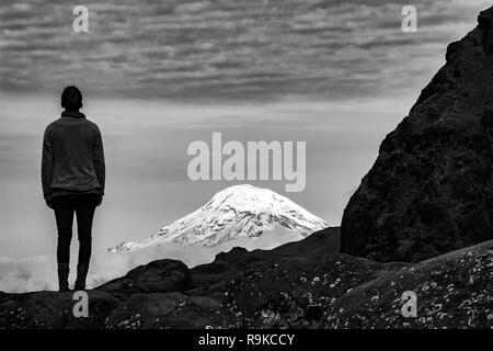 Blick auf Vulkan Chimborazo von Vulkan El Altar, Riobamba, Ecuador Stockfoto